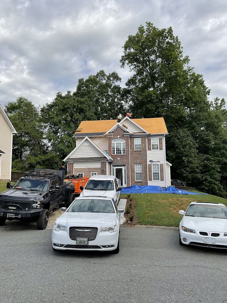 project photo